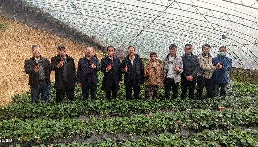 永利888官网(中国)集团有限公司 | 2022年大力发展种植基地，助农民小康、市民健康